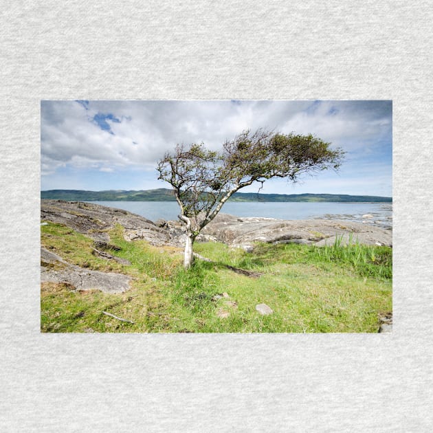 Loch Na Keal by StephenJSmith